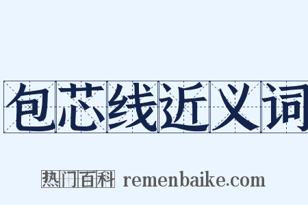 包芯线近义词是什么意思的图片